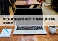 湖北区块链新金融科技公司有哪些[武汉市区块链协会]